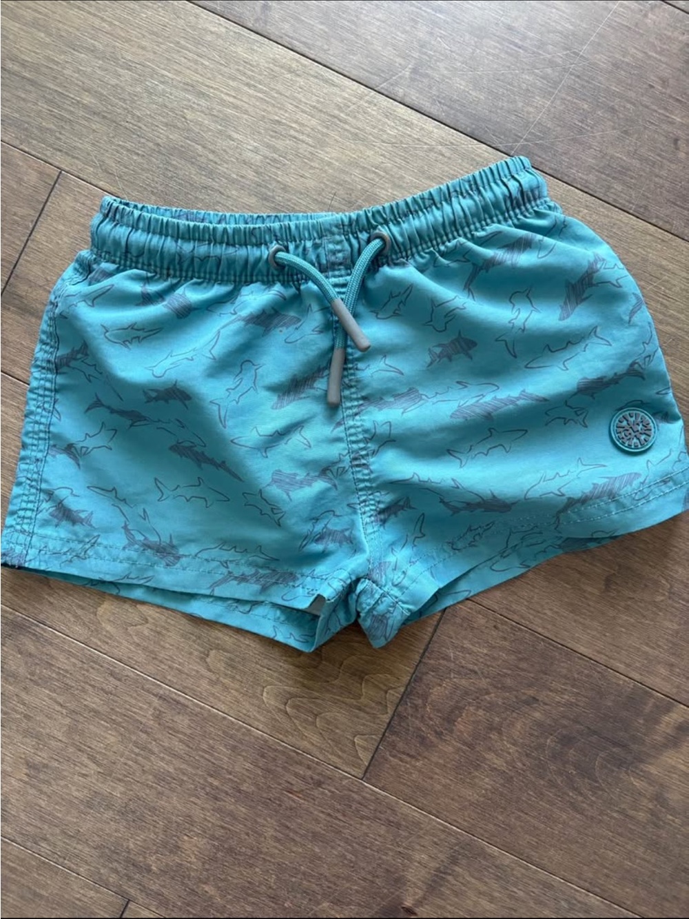 Boys ' Shark-Print Aqua Swim Shorts